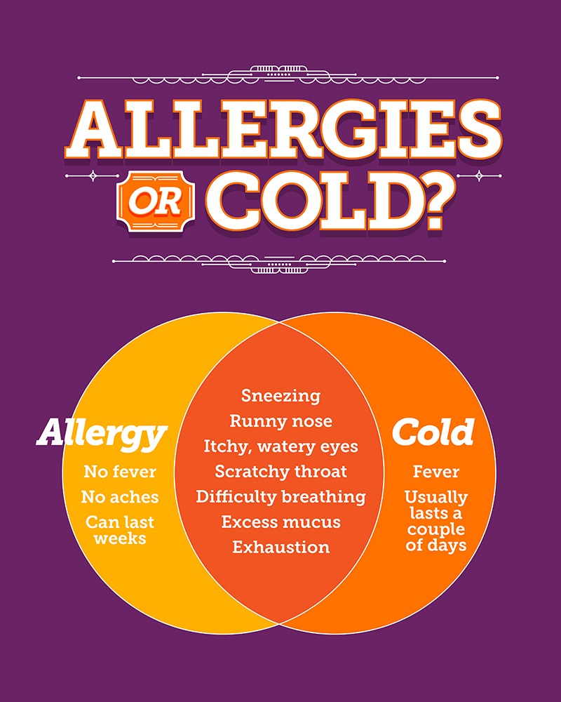 Allergies or a Cold? infographic