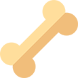 Bone icon