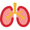 Lungs icon