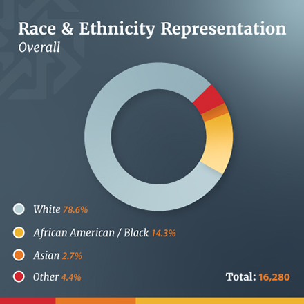 race and ethnicity representation data