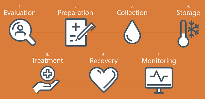 Stem cell transplant patient journey
