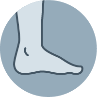 Foot and ankle