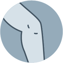 Knee