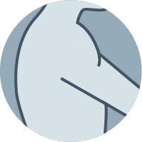Shoulder