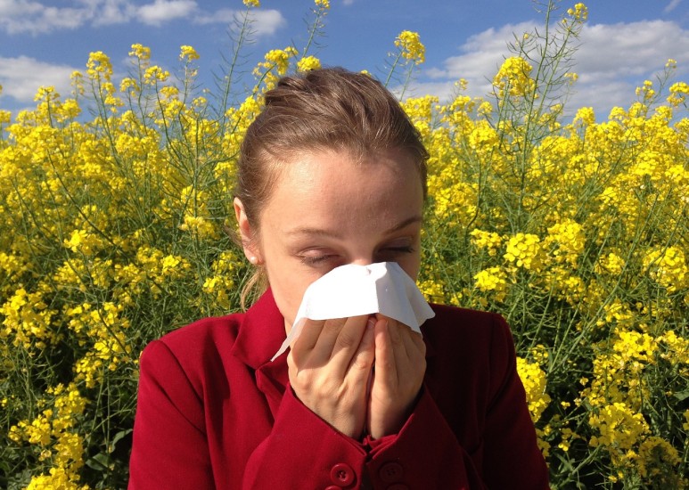 Woman in field of yellow flowers sneezing