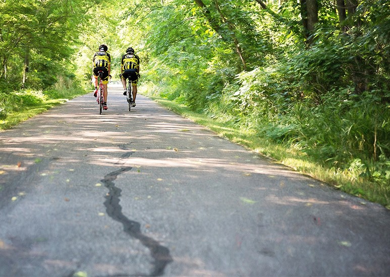 Celebrate Men's Health Month