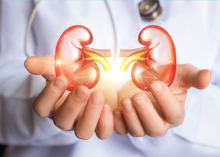 Protect Your Kidneys