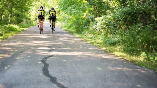 Celebrate Men's Health Month