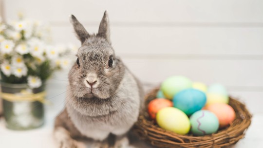 Easter basket with eggs next to a bunny