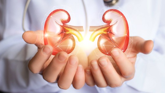 Protect Your Kidneys