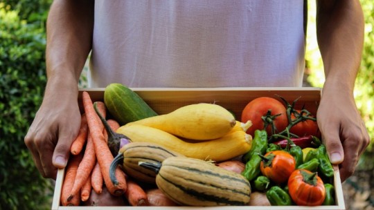 binford farmers market