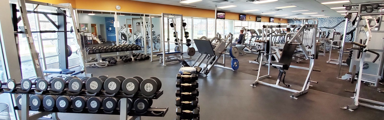 BodyZone North exercise equipment