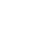 Chat icon