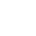 Colon icon