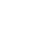 Cell phone icon