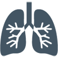 lungs icon