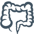 colon icon