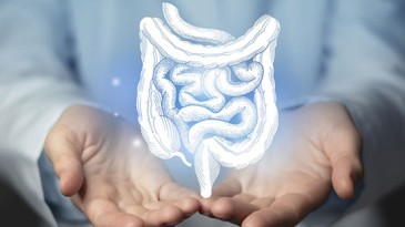 Colon illustration