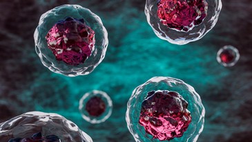 Stem cells