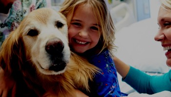 Pediatric girl patient with therapy dog, mom and nurse