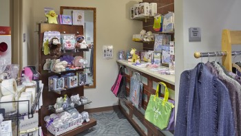 FigLeaf Boutique South - Oh Baby