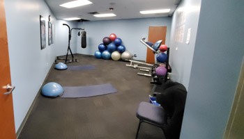 Exercise balls and more