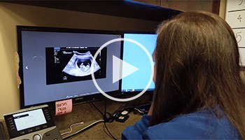 Pregnancy ultrasound technologist