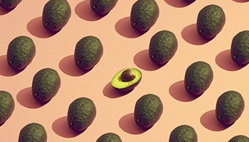 Avocados